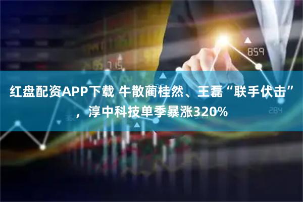 红盘配资APP下载 牛散蔺桂然、王磊“联手伏击”，淳中科技单季暴涨320%