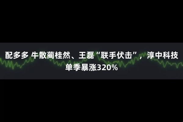 配多多 牛散蔺桂然、王磊“联手伏击”，淳中科技单季暴涨320%