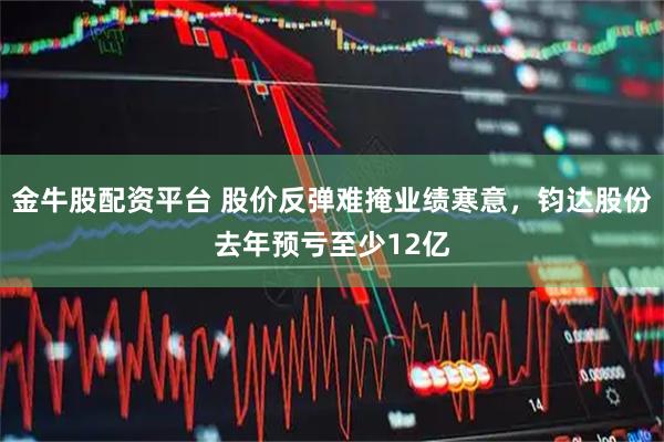 金牛股配资平台 股价反弹难掩业绩寒意，钧达股份去年预亏至少12亿