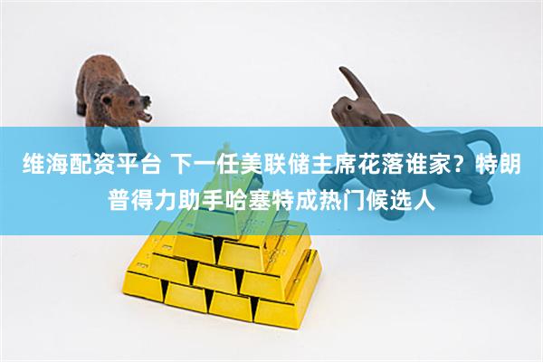 维海配资平台 下一任美联储主席花落谁家？特朗普得力助手哈塞特成热门候选人